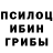Псилоцибиновые грибы мицелий Zonia Rose