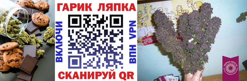 kraken tor нарко площадка состав Canna-Cookies конопля Троицк