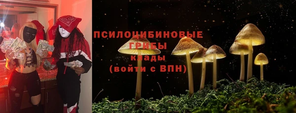 эйфоретик Михайловск