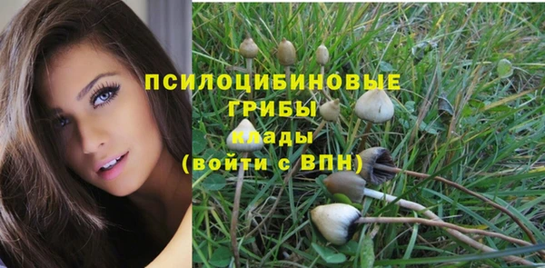 прущая мука Михайловка