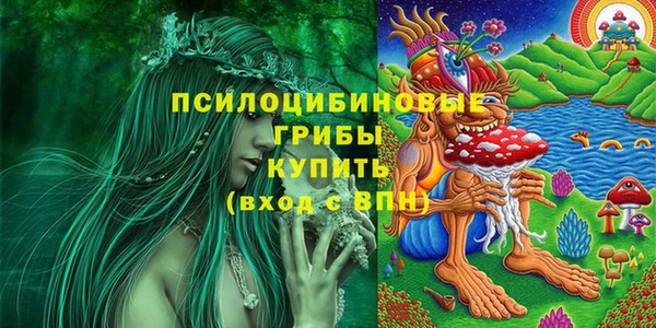 спайс Михайлов