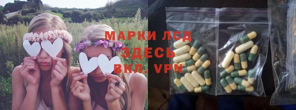спайс Михайлов