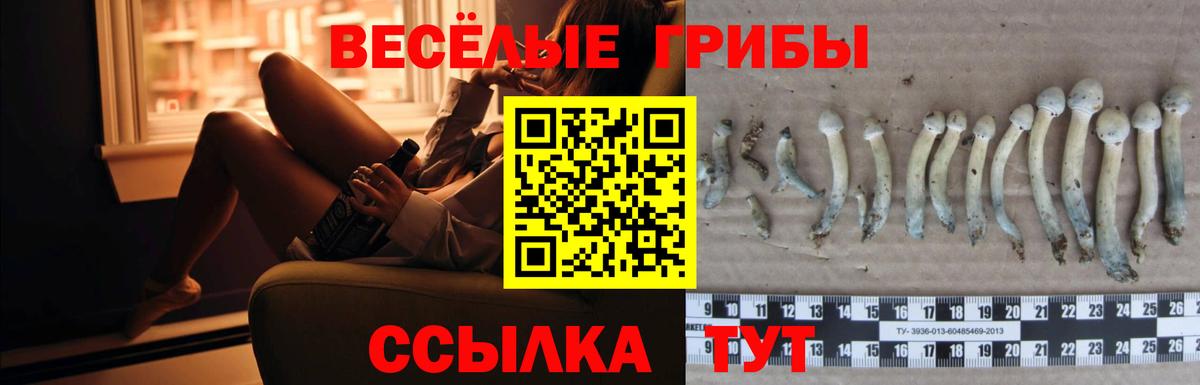 Псилоцибиновые грибы прущие грибы  Вход с VPN  Троицк 