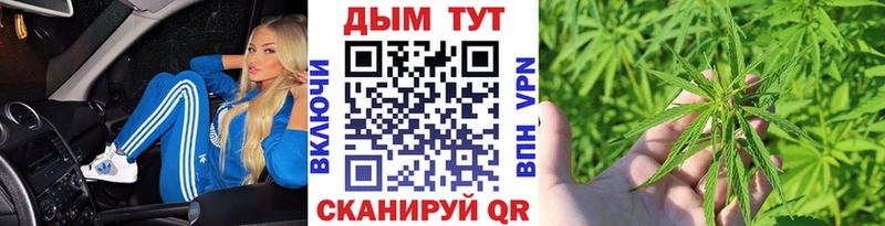 Шишки марихуана сатива  Троицк 